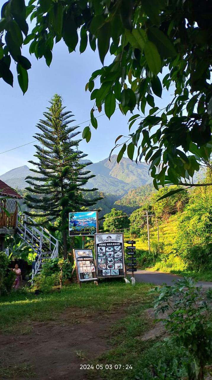 Blue Mountain Cottage Сенару Экстерьер фото